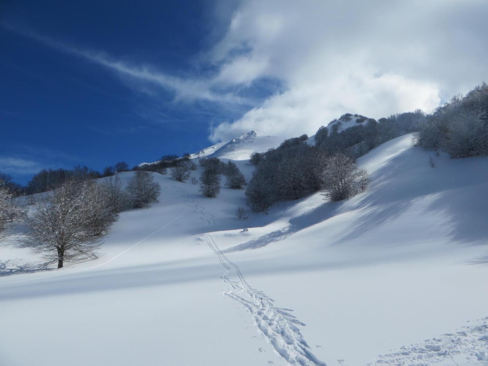 B&B Vivilmatese Roccamandolfi Dış mekan fotoğraf