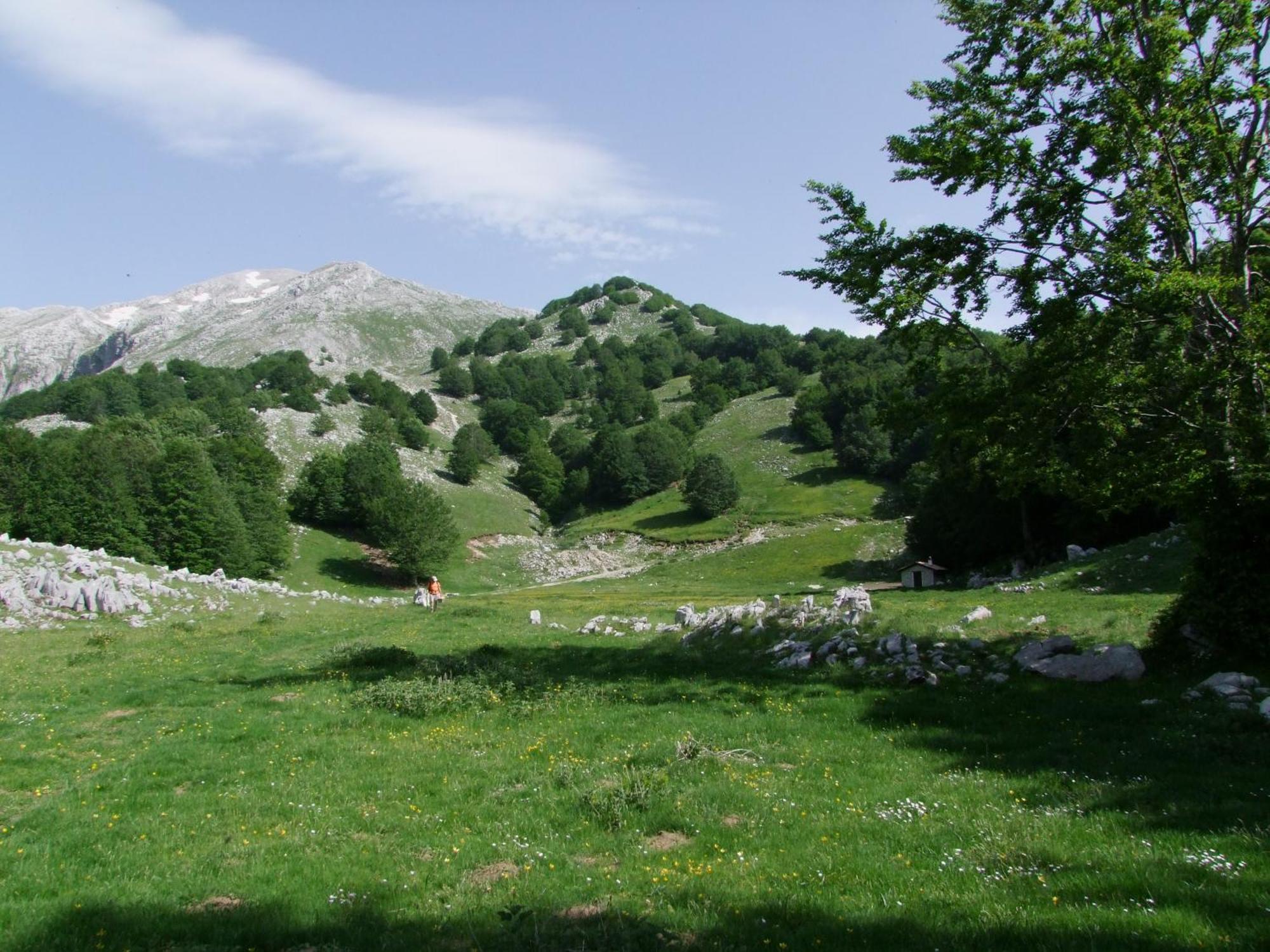 B&B Vivilmatese Roccamandolfi Dış mekan fotoğraf