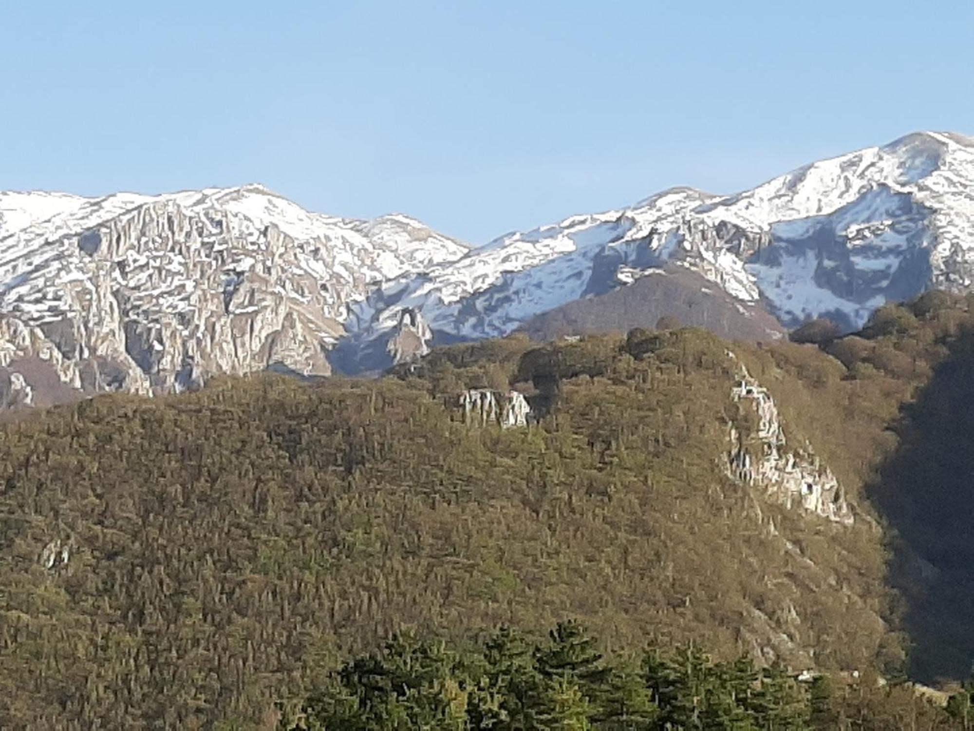 B&B Vivilmatese Roccamandolfi Dış mekan fotoğraf