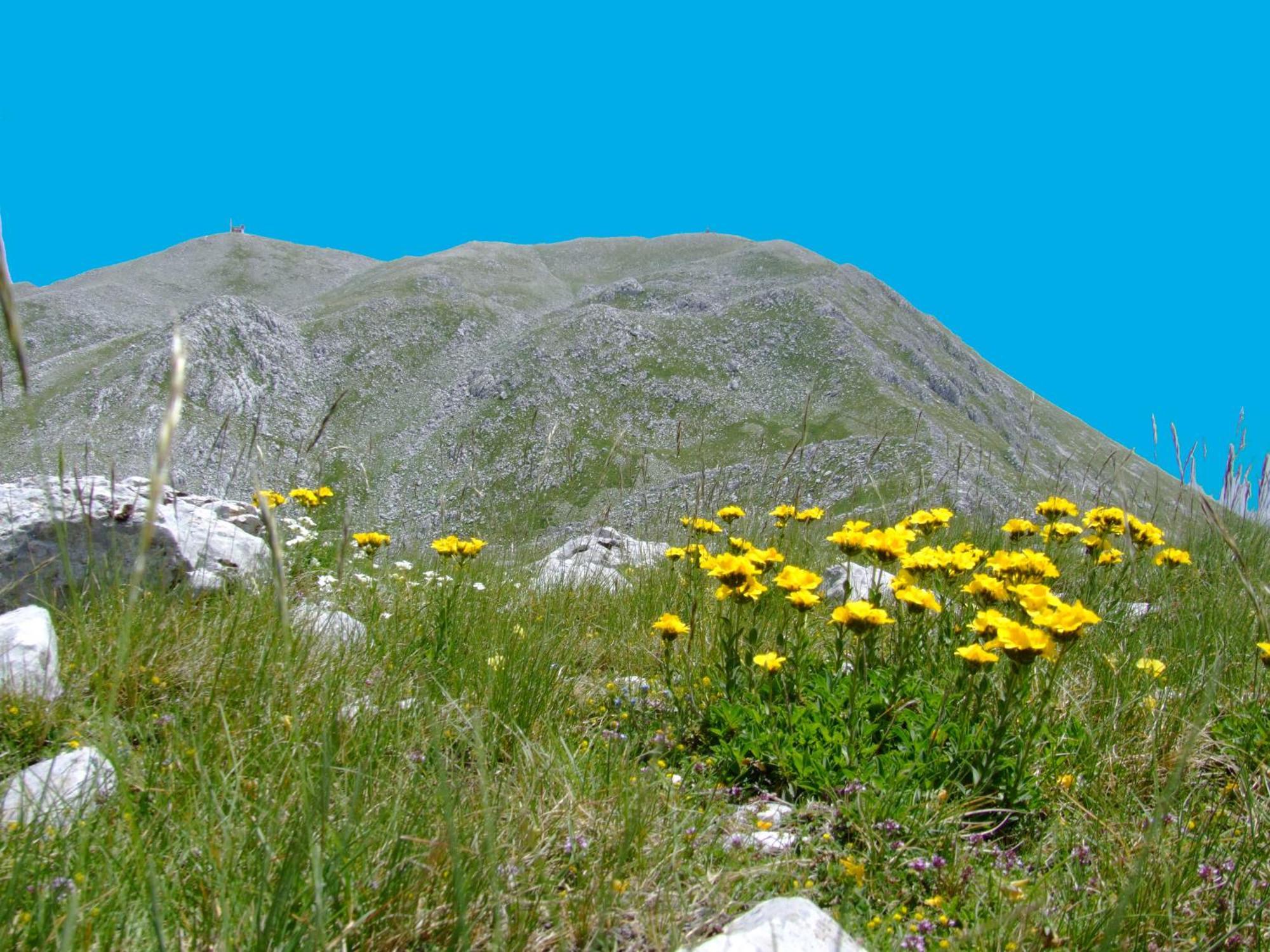 B&B Vivilmatese Roccamandolfi Dış mekan fotoğraf